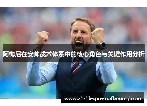 阿梅尼在安帅战术体系中的核心角色与关键作用分析